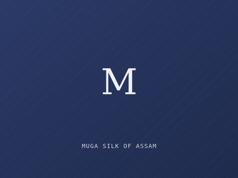 Placeholder image for Muga Silk of Assam — Assam (Textiles)