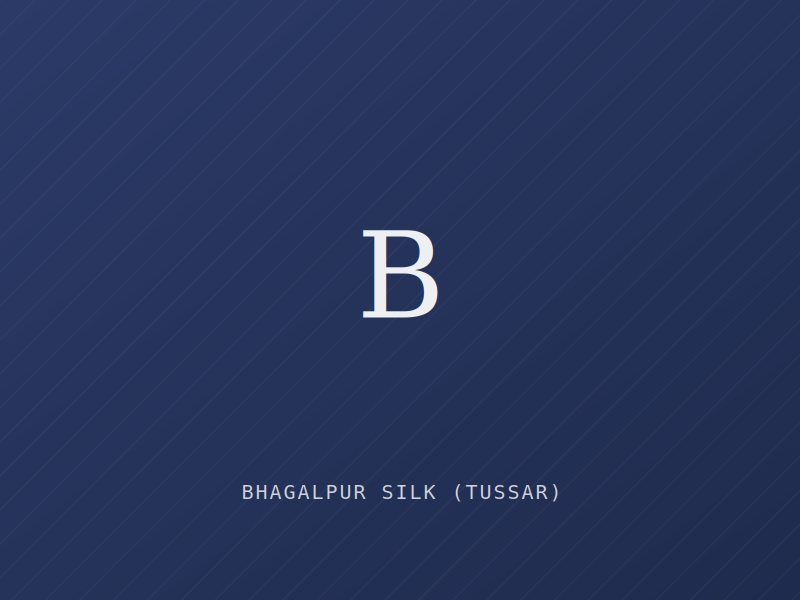 Placeholder image for Bhagalpur Silk (Tussar) — Bihar (Textiles)