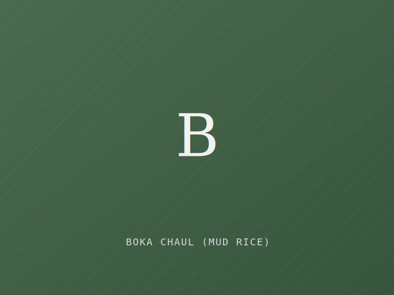Placeholder image for Boka Chaul (Mud Rice) — Assam (Agricultural)