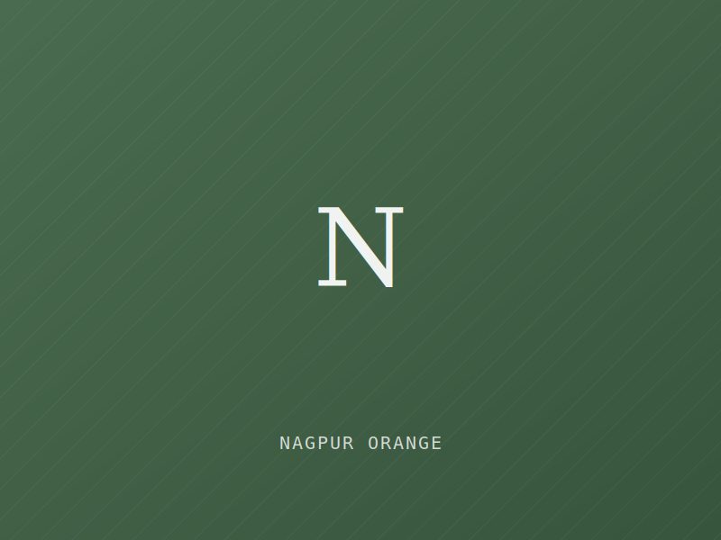 Placeholder image for Nagpur Orange — Maharashtra (Agricultural)
